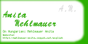anita mehlmauer business card